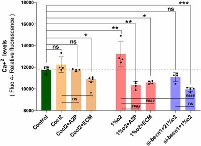 Molecular and Cellular Response of the Myocardium (H9C2 Cells) Towards Hypoxia and HIF-1α Inhibition